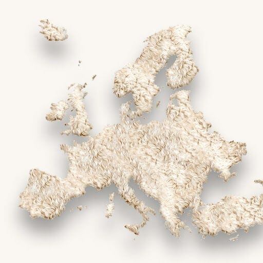 evropa vlna (full).jpeg