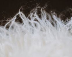 vlna_sablona (full).jpg